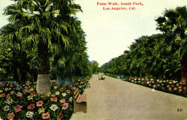 south park palm walk postcard c1910s csudh-thumb-600x386-73383
