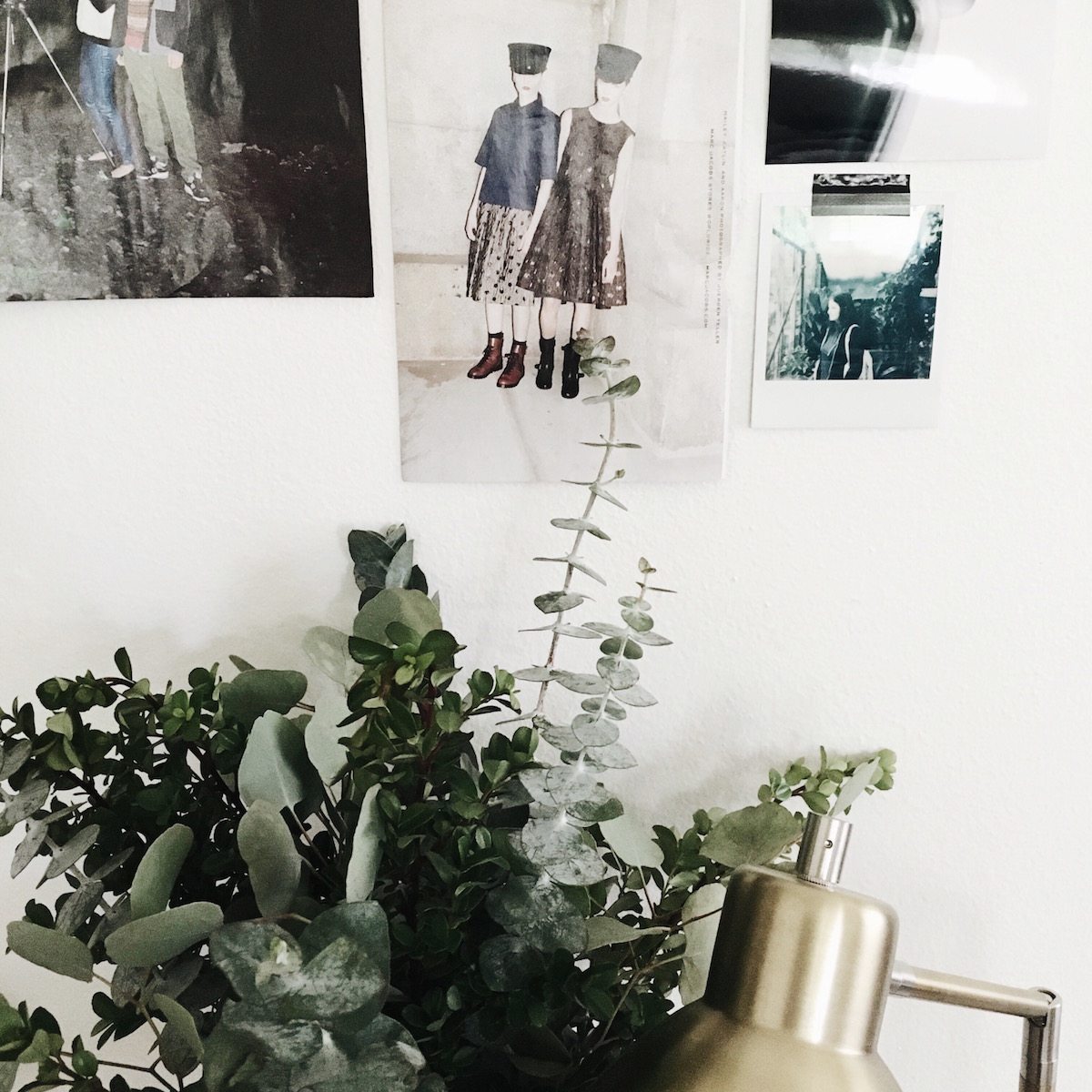 PLANTS