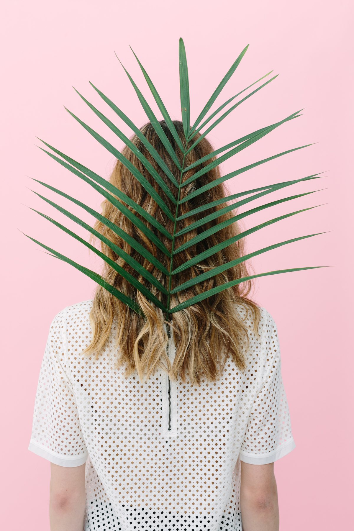 plant profile