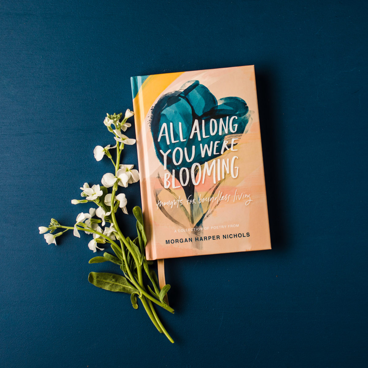 Morgan Harper Nichols Releases Poetry Book All Along You Were Blooming Darling Magazine